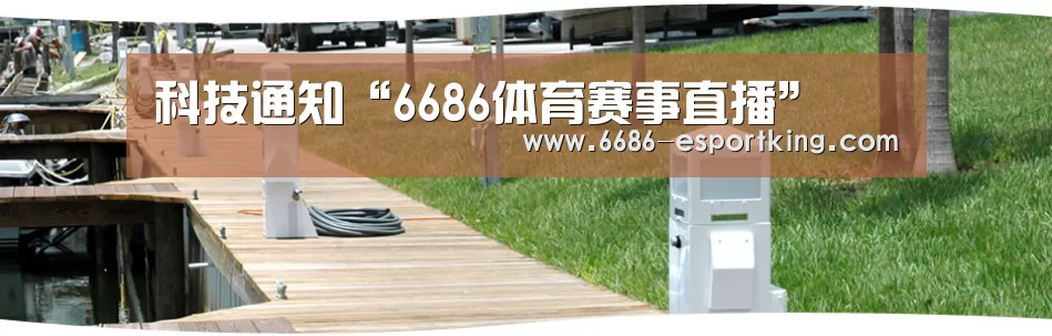 6686电竞赛事