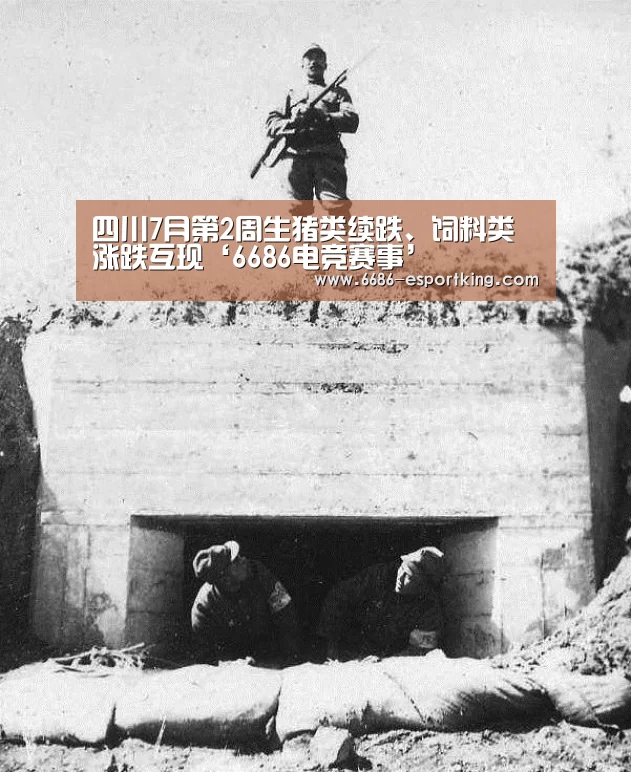 6686体育