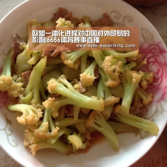 6686电竞赛事